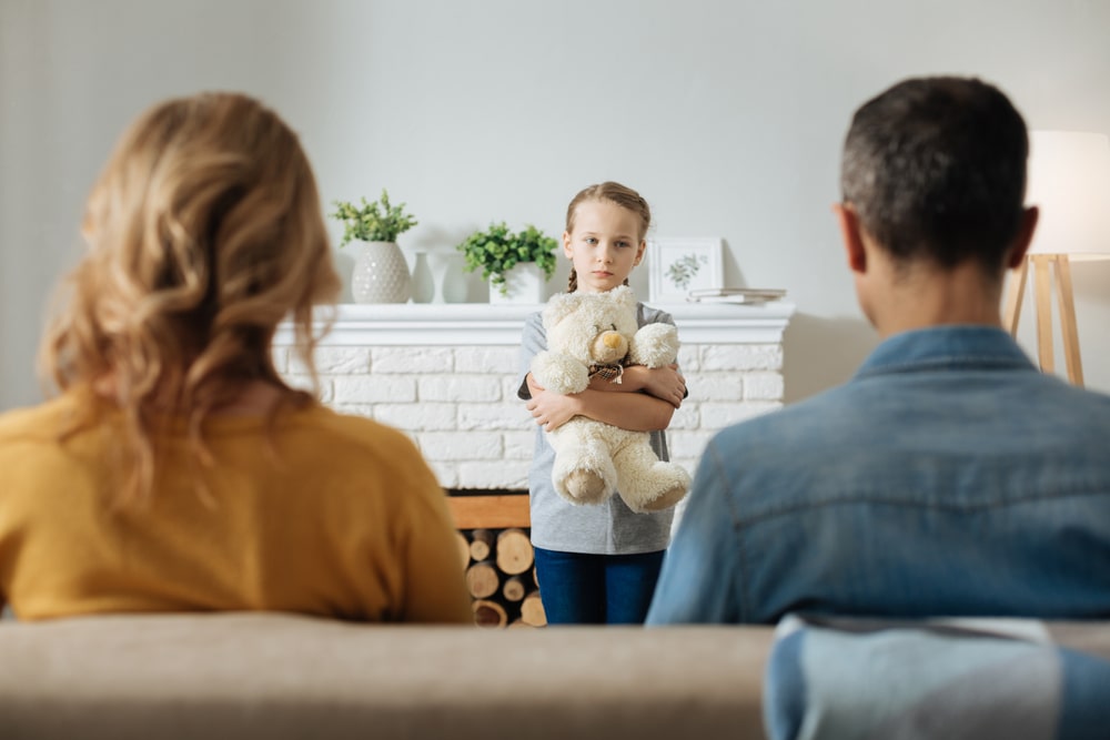 family law law news